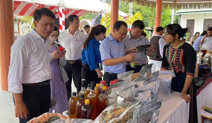 Hỏi-Đáp pháp luật: Nguyên tắc thực hiện thúc đẩy khởi sự kinh doanh, khởi nghiệp và thu hút đầu tư vùng đồng bào dân tộc thiểu số và miền núi